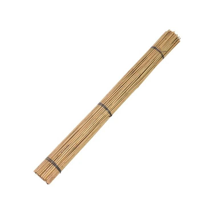 Бамбуковое сырье бамбуковые колья трости завод
