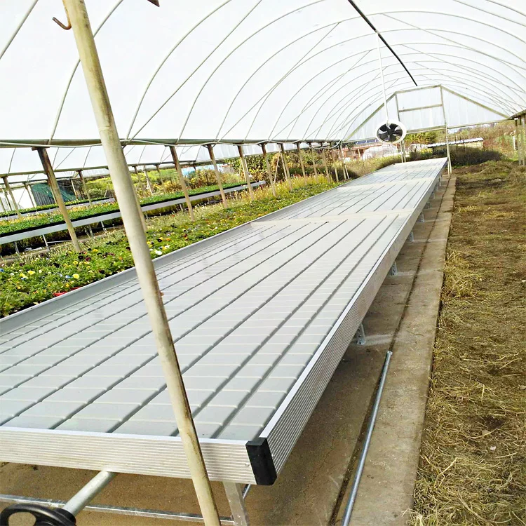 Hot Sale 4*8ft Hydro farm Ebb and Flow Package with Rolling grow trays System