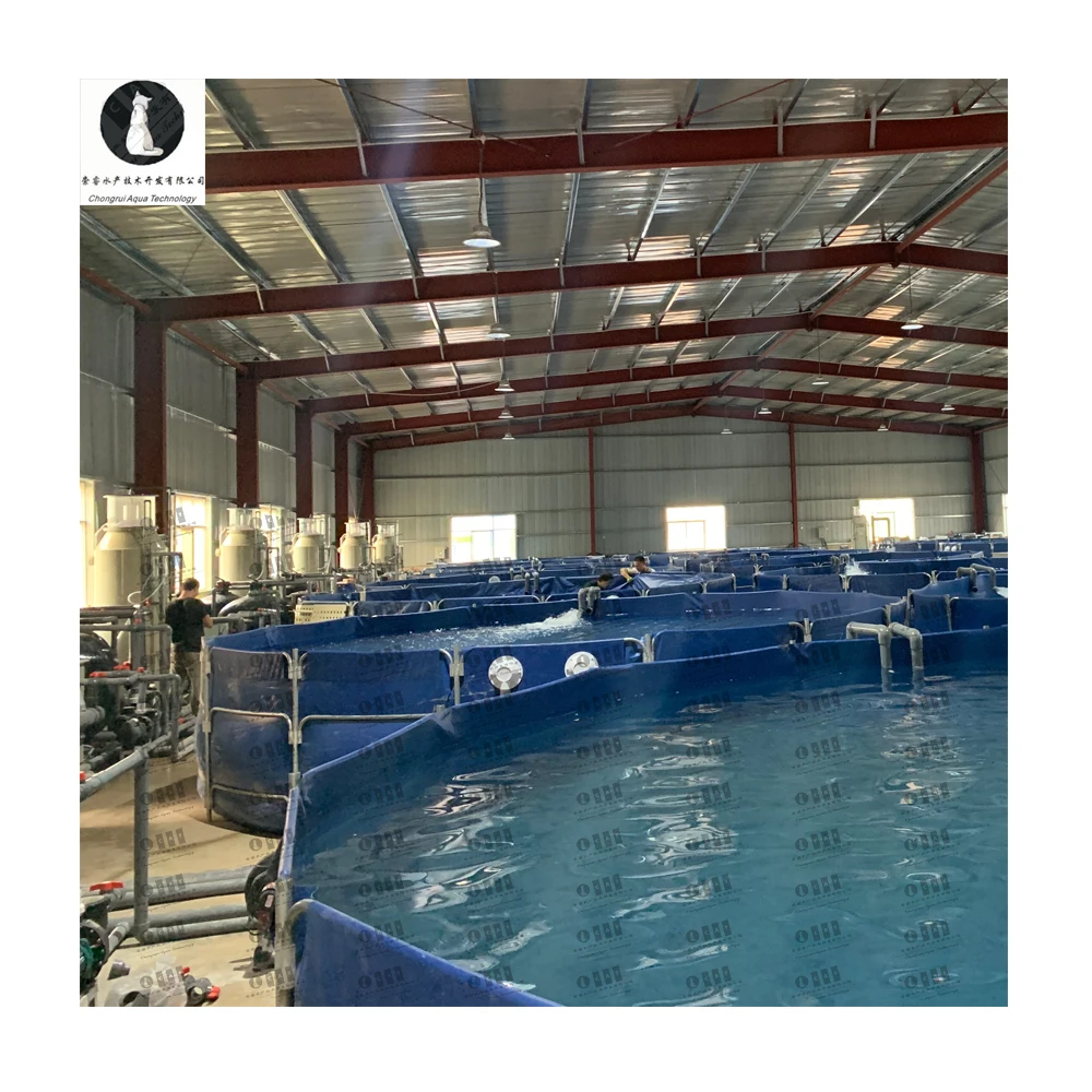 CATAQUA Indoor Fish Farm Fish Farming Equipment Aquaculture System Ras Fish Farming Equipment
