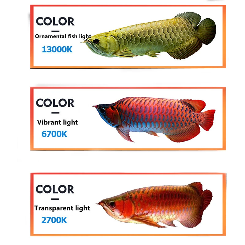 Zaohetian 142CM 54W Golden Arowana 6700K  Tanning Lamp Red Arowana 13000K  Tanning Lights Tanning Light for aquarium
