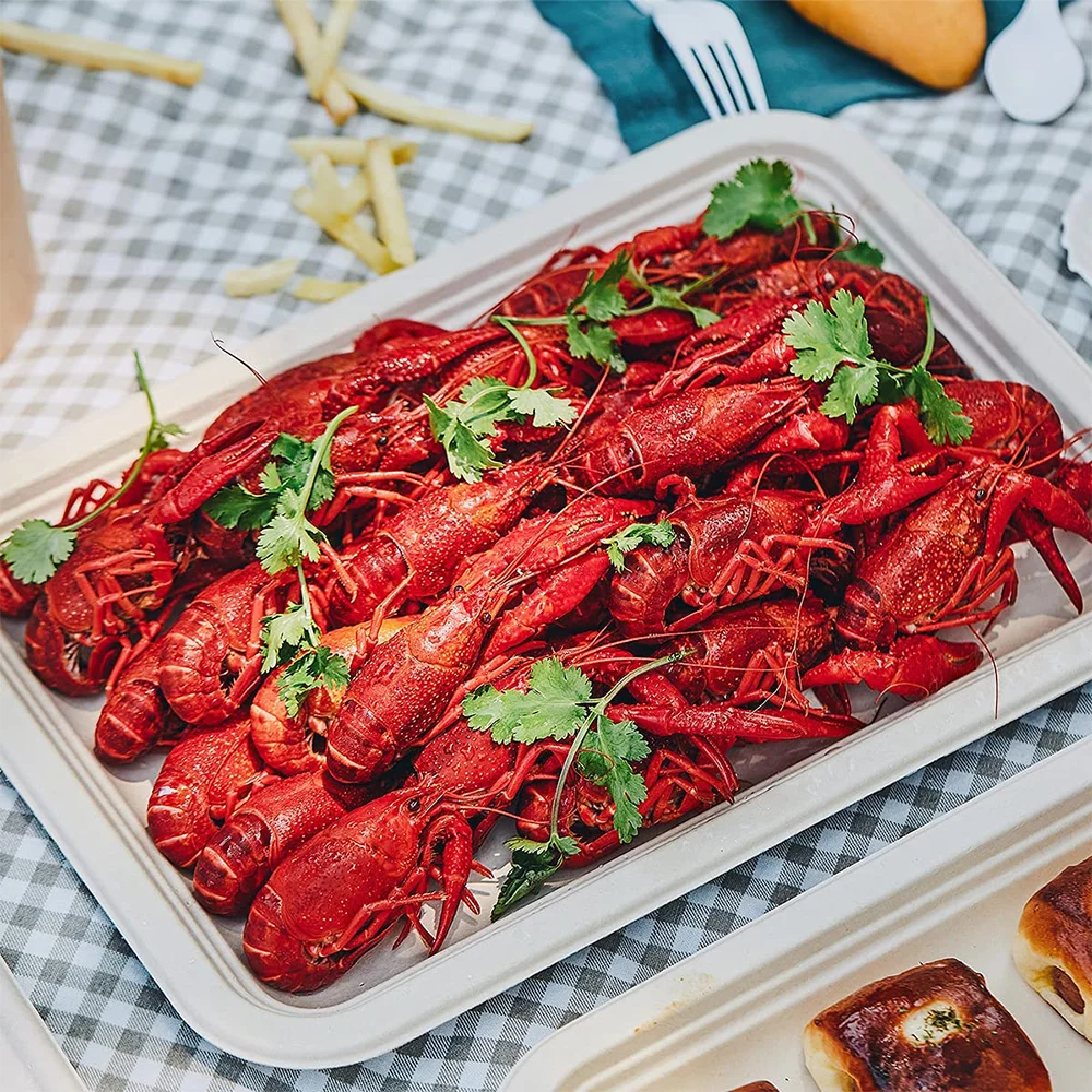 Biodegradable in direct contact with the mouth food storage & container