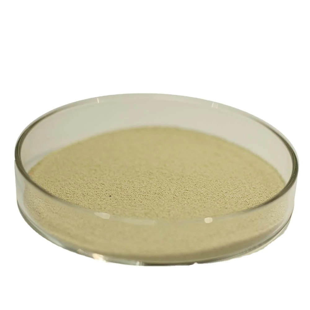 Профессиональное производство, дешевые кормовые добавки, порошок Lactobacillus Plantarum