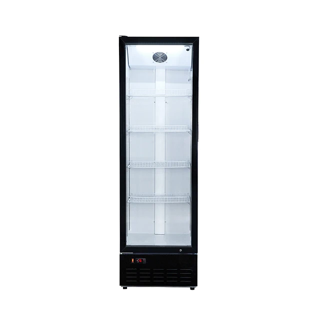 Made China Superior Quality Small Commercial Upright Freezer