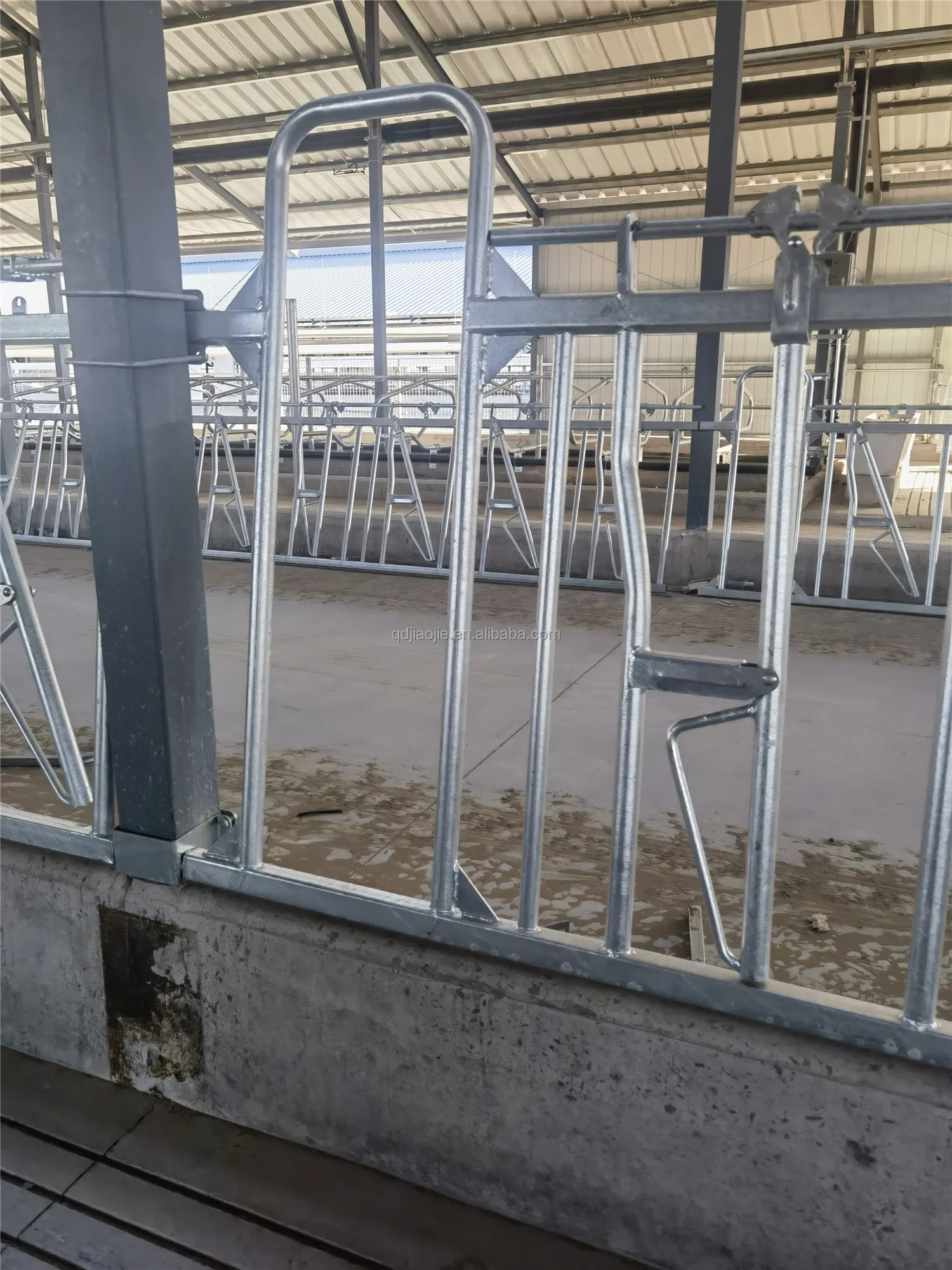 Factory price cattle headlocks with dairy cow galvanized cattle farm headlock