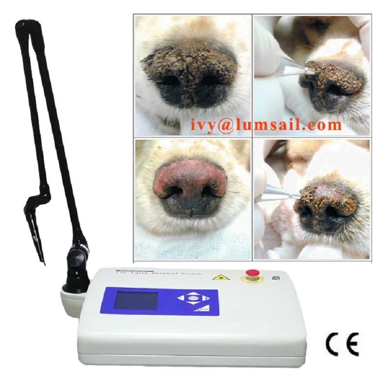 CO2 laser for pets dog Surgery for Veterinary clinic