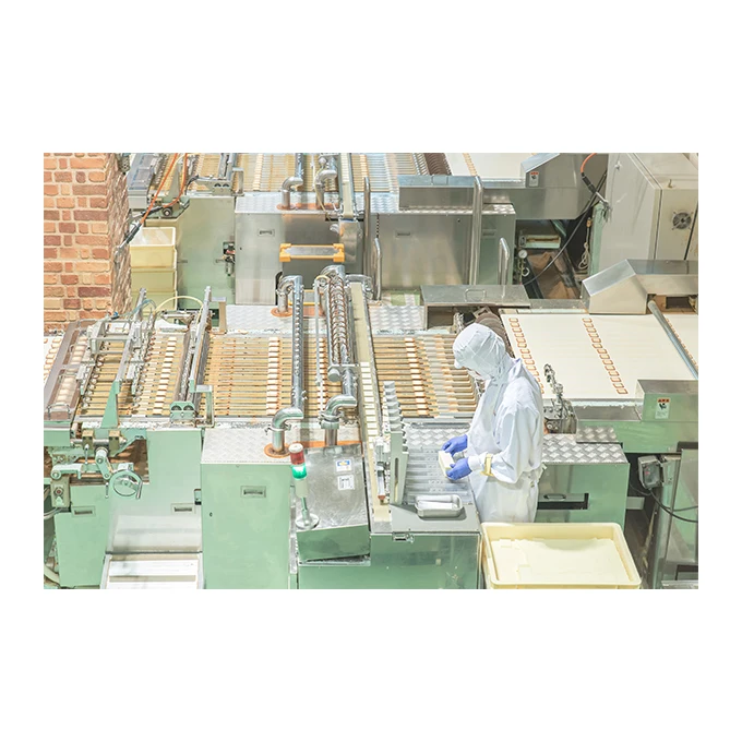 
Healthcare Supplement Nattosei EX300 health and safety medical pills product (OEM possible) 