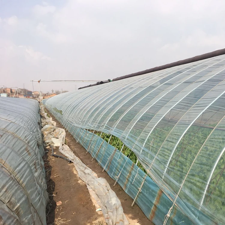 Quality Assurance Lock Channel 200 Micron Uv Resistant Plastic Greenhouse Agricultural Reflective Film
