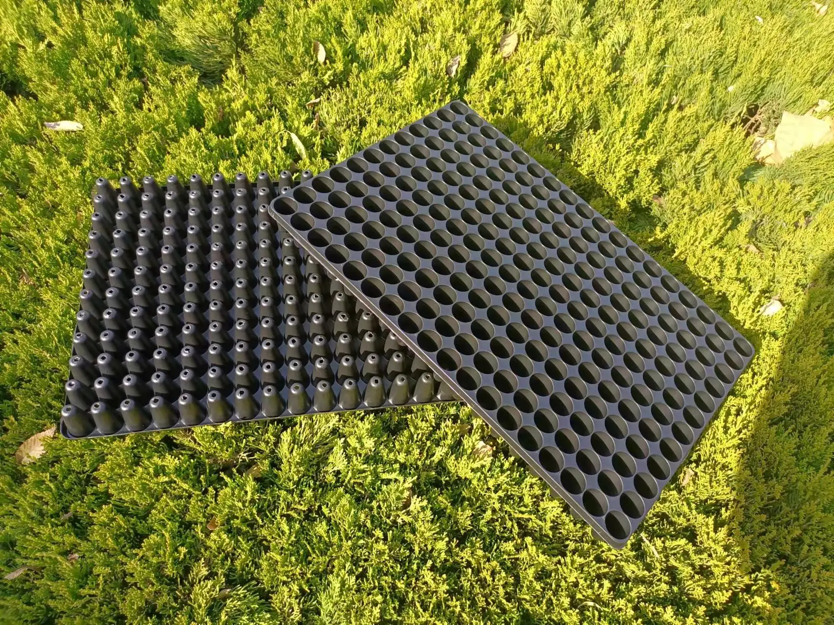 Reinforced nursery seedling tray germination grow seed nursery starter tray 21,32,50,66,72,98,105,128,162 cells nursery tray