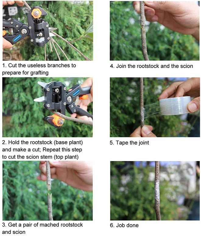 Dropship Grafting Tool Kit Garden Grafting Cutting Pruning Tools with Screwdriver Wrench Pruner Cutting Blade O-Cut U-Cut V-Cut