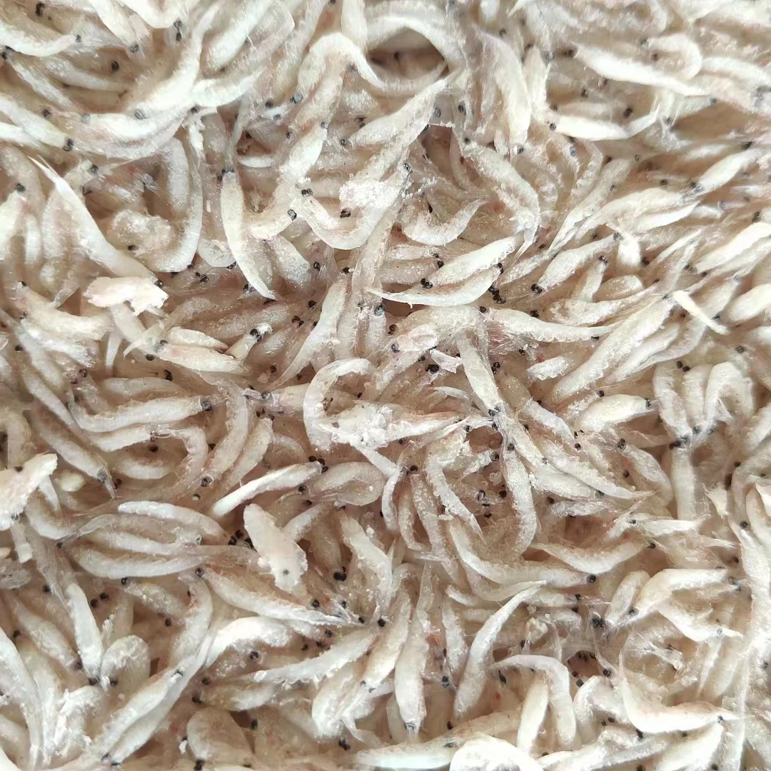 Baby Shrimp for Feed