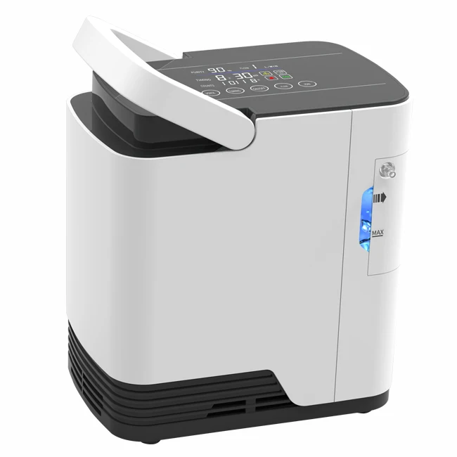 Customization Rehabilitation therapy supplies small power affordable oxygen generator fish farming oxygen generator price