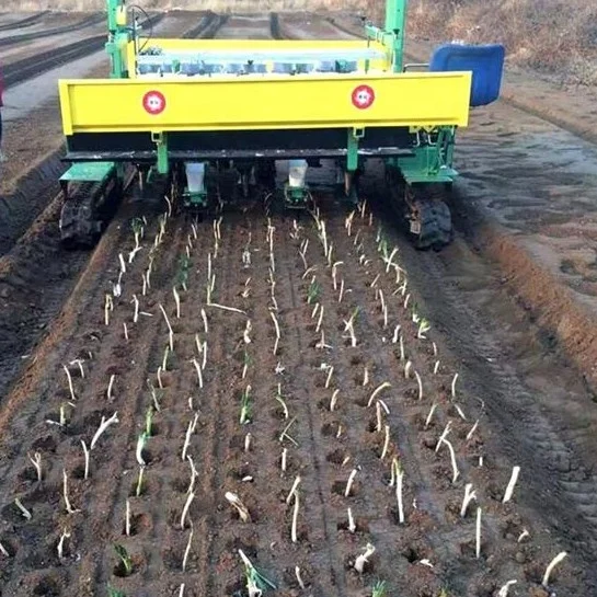 multifunctional green onion seedlings transplanting machine vegetable seed planter function optional good quality and price