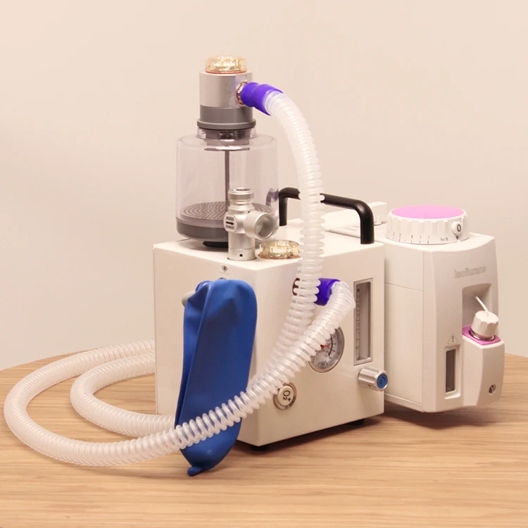 Online Shop Turkey Excellent Performance Other Veterinary Instrument Anesthesia Machine for Vet