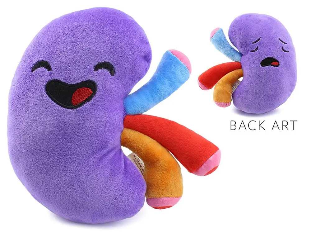Customized Stuffed Health Education Body Organ Toy Plush Kidney