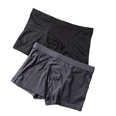 Summer Modal Men Panties Front Ice Silk Breathable Mesh  Men Sexy Underwear Boxer