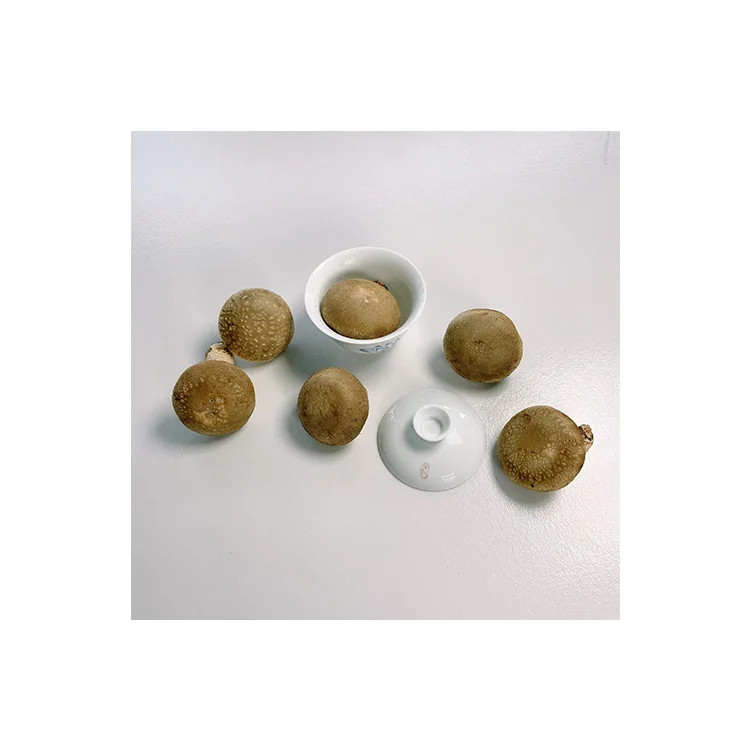 
China Professional Manufacturer Fresh Shiitake Mushrooms Organic 