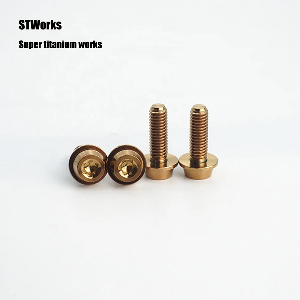CNC machining Customized M5*10 Titanium Allen Torx bolt flat  head torx Bolts for bicycle