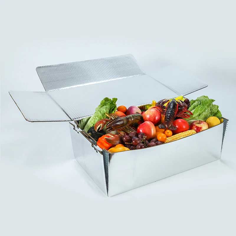 Insulated Food Shipping Aluminum Foil Box for Cold Industrial Chain Ice Cream Cold Box Maintain temperature for 3 days