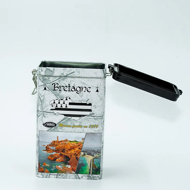 
Пустые пищевые небольшие тисненые жестяные футляры на заказ, большой серебряный жестяной контейнер, металлическая упаковочная коробка, обычная прямоугольная жестяная банка на петлях 