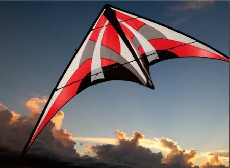 Advertising stunt kite double line athletic kite
