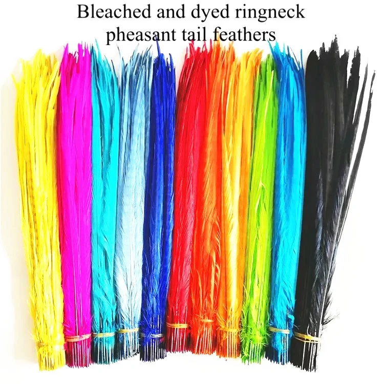 Bleached and Dyed Long English Ringneck Pheasant Tail Feathers