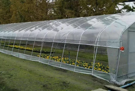 China Factory Outlet Single-span Greenhouses Customized One-Stop  Polytunnel Farming High Tunnel Agriculture Greenhouse