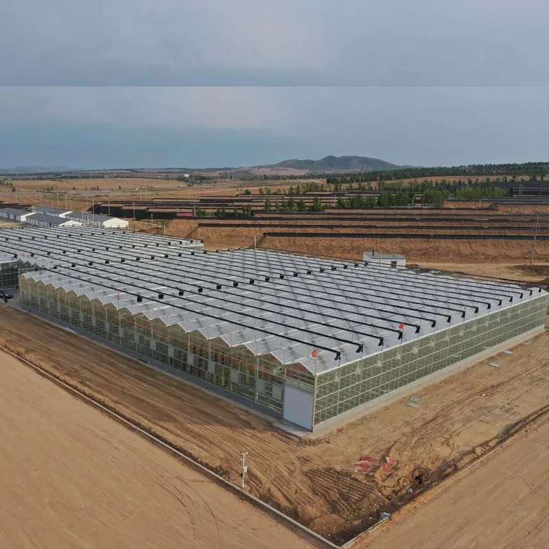 the 2024 years hot agricultural smart equipment commercial galvanized steel frame large venlo multi-span glass greenhouse farm price for sale