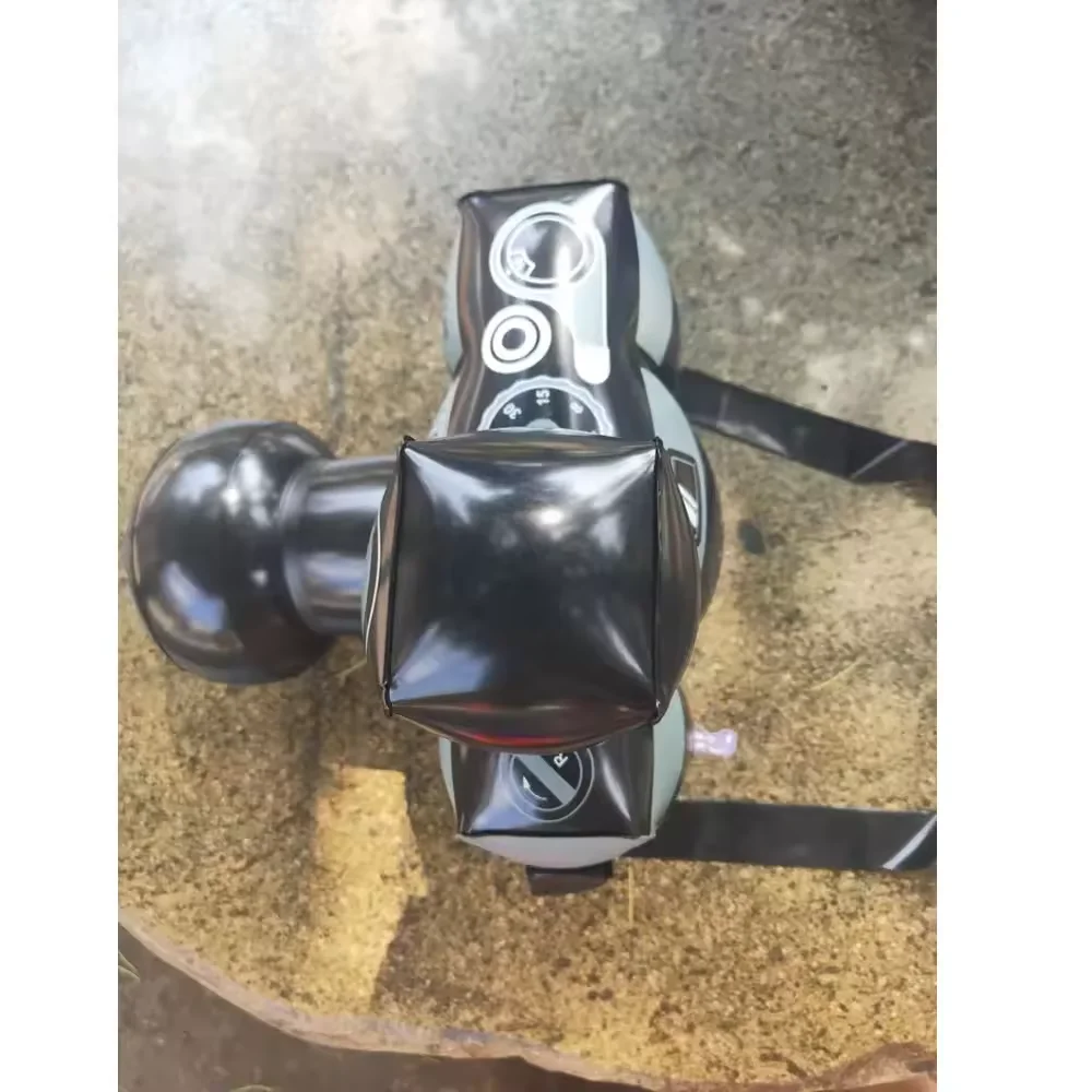 Biele customized inflatable camera for decoration