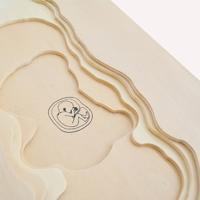 Wooden Toddler Toys Ready to Ship Man Grow up Body Structure Jigsaw Learning Wooden Toy 5 Layer Puzzle