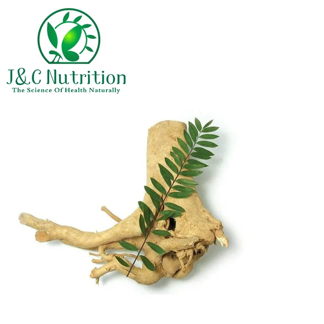 
100% Natural Tongkat Ali Root Extract 100:1 200:1 0.5%~1%Eurycomanone 