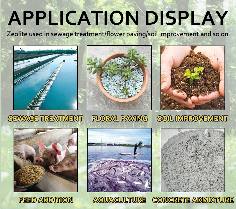 Натуральный зеленый клиноптилолит 68989-22-0 для кормовой добавки хорошего качества белый нано цеолитный порошок алюмосиликат аквакультура