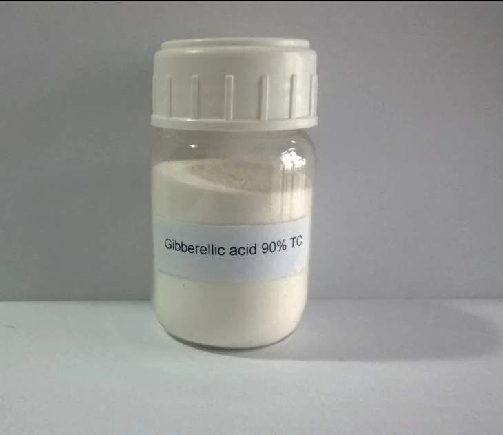 
Gibberellic acid 90%TC 10%20%40%SP 10%TB agrochemcial Plant Growth regulator 77-06-5 