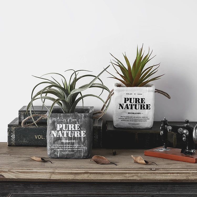 
Time Slow Amazon Wholesale Creative Desktop Ornaments TS-HP181239 Vintage Simulation Green Plant Potted Indoor Home Decoration 