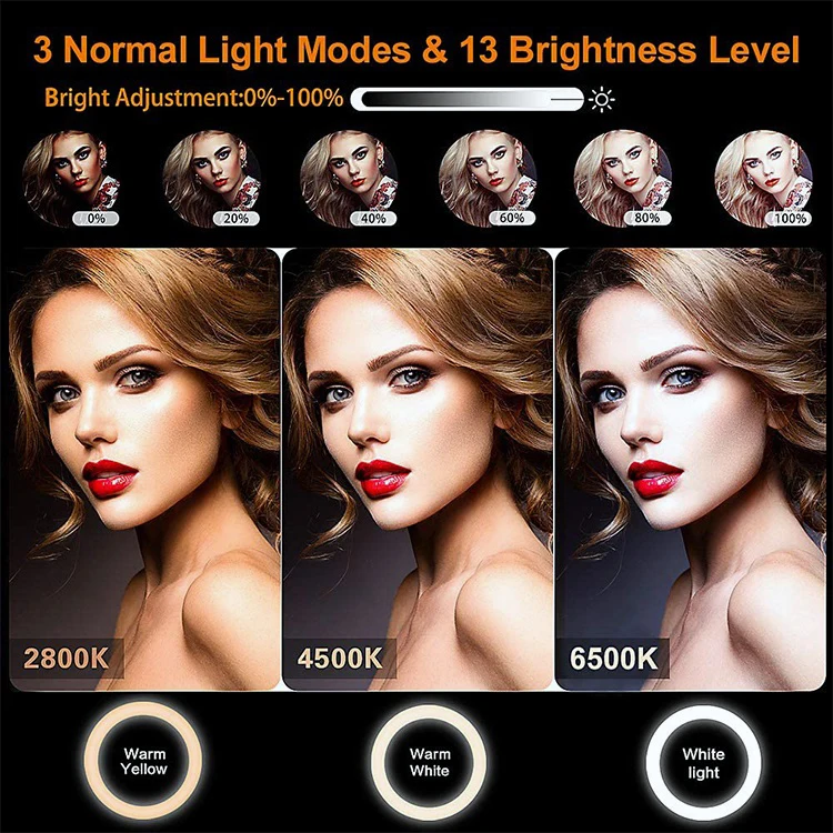 Wholesale RGB 12inch Led Table Lamp Colorful Dimmable 13 brightness 20 Color Modes 12 inch Selfie Ringlight for TikTok YouTube