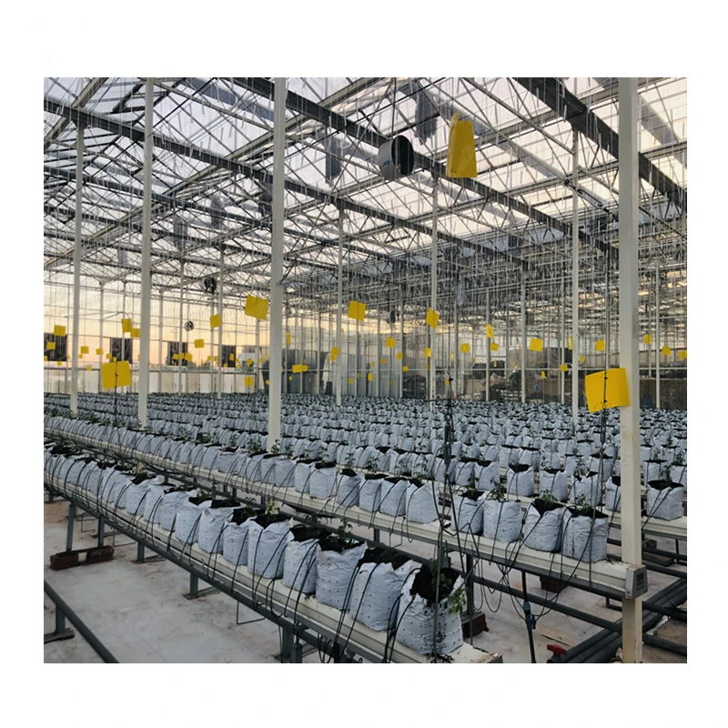 agricultural greenhouses used sale hydroponic system vertical hydroponic system agriculture products