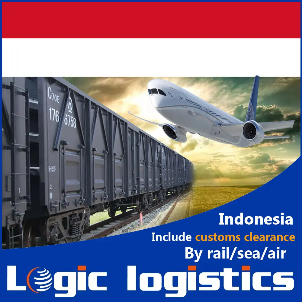Professional international freight forwarder DAP international express service from China to Indonesia ID