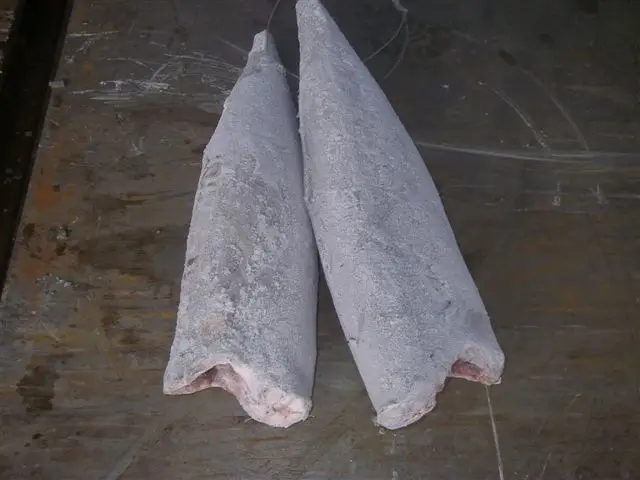 Замороженная масляная рыба высокого качества 10 кг + лепидоцибиум замороженная