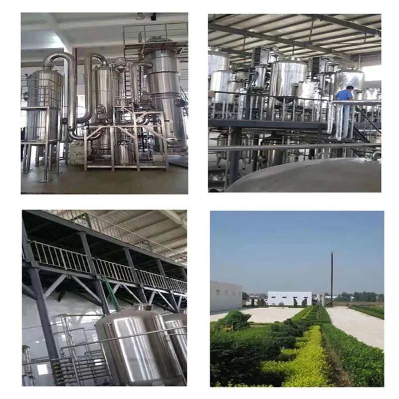 
99% bitter apricot kernels extract amygdalin vitamin b17 amygdalin 