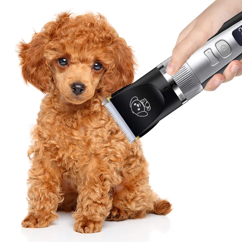 Factory Price Professional Usb Rechargeable Dog Clippers Cat Dog Hair Clippers Electrical Pet Clippers