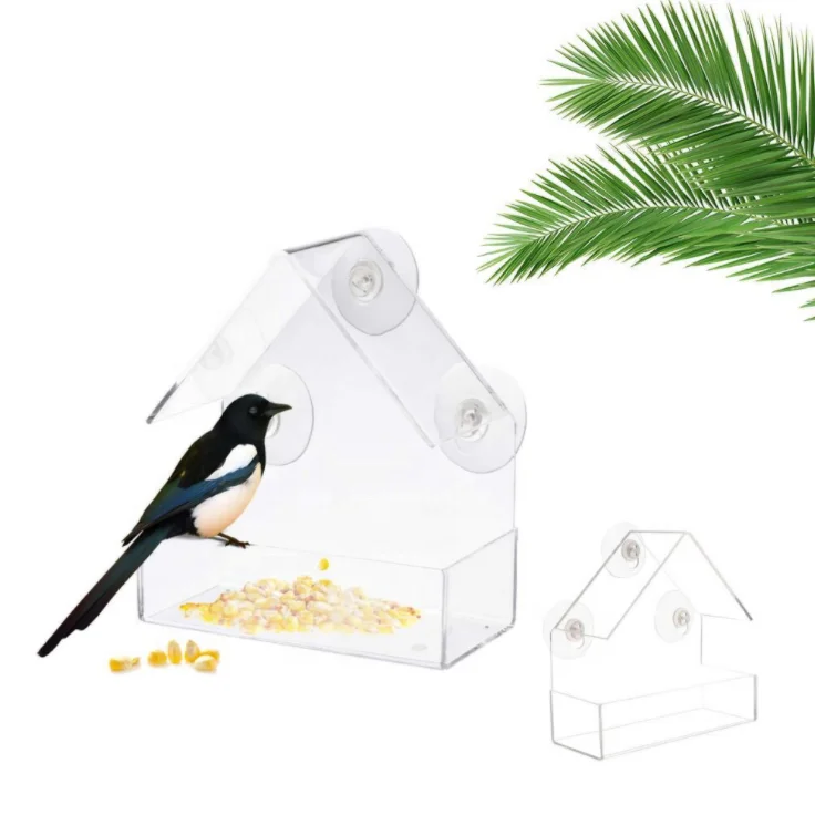 Acrylic Transparent humming hanging bird feeder with with Super Strong Suction Cups