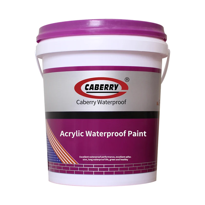 Wholesale CABERRY factory construction acrylic waterproof coating paint water repellent