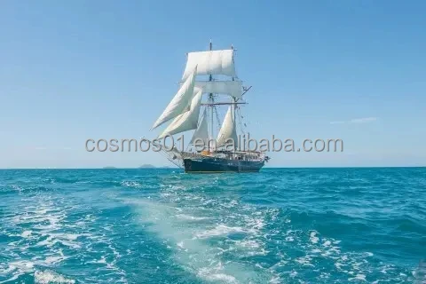 Bestyear 6 8m Sport Sail Boat OEM Material Origin Type Fiberglass Product Place Hull Fuel Draft Length Petrol Condition SHN