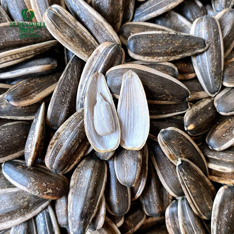 China factory supply  white dried sunflower seeds black