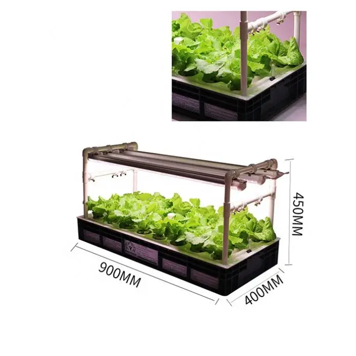 Single layer soilless culture succulents vegetable Integrated aeroponic hydroponic system