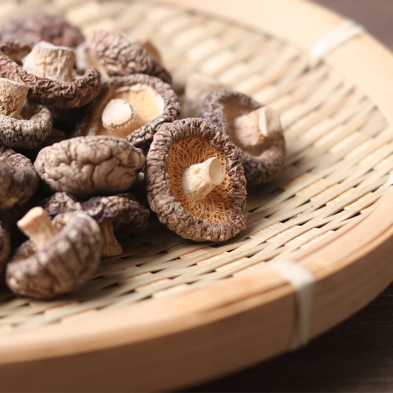 
fresh maitake dry dried shiitake shiitake Fungus mushroom 