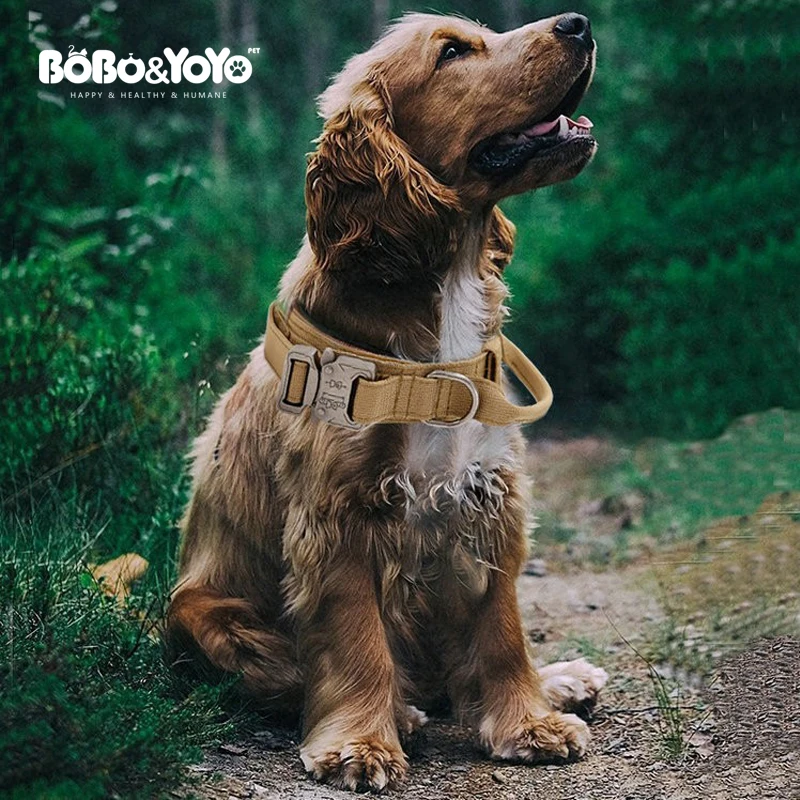 Manufacturers Heavy Weight Large Big Durable Basic Plain Accessories Tracking Running Training Nylon Pet Dog Collars