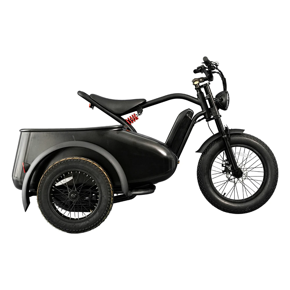 20inch fat tire side car electric bike conversion kit tricycle load children