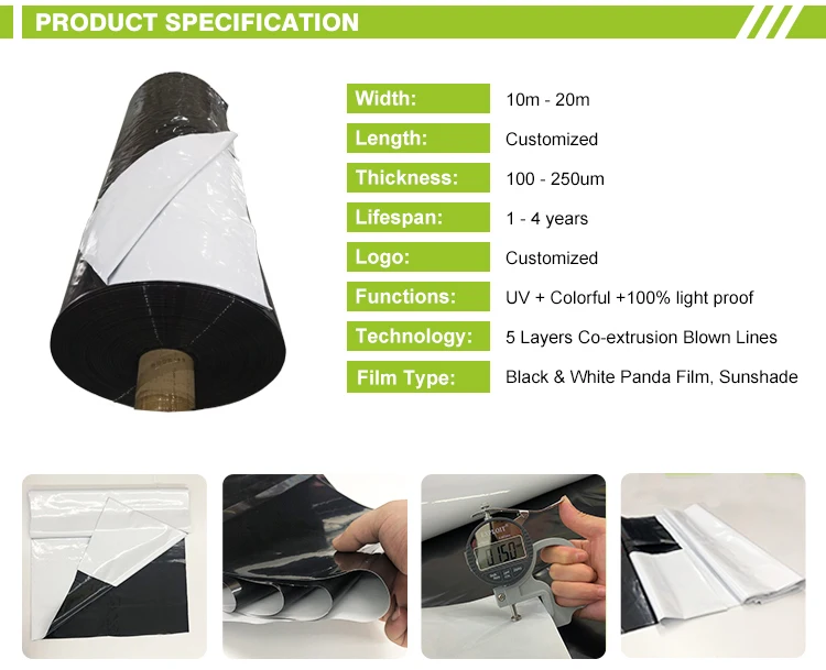 Agricultural 4 years UV Protection Black White Panda Film Greenhouse Film
