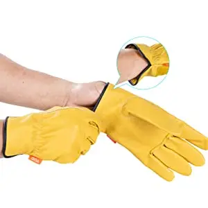 hand gloves