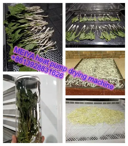 Low price chilli pepper drying machine for dried vegetable food processing equipment